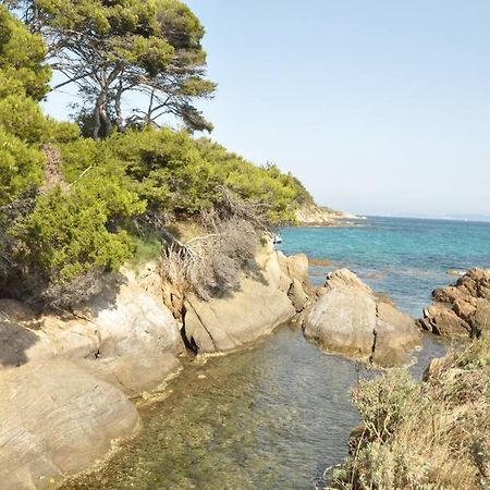 Villa Abeille : Douces Vacances D'Ete Avec Vue Mer Кавалере-сюр-Мер Екстериор снимка
