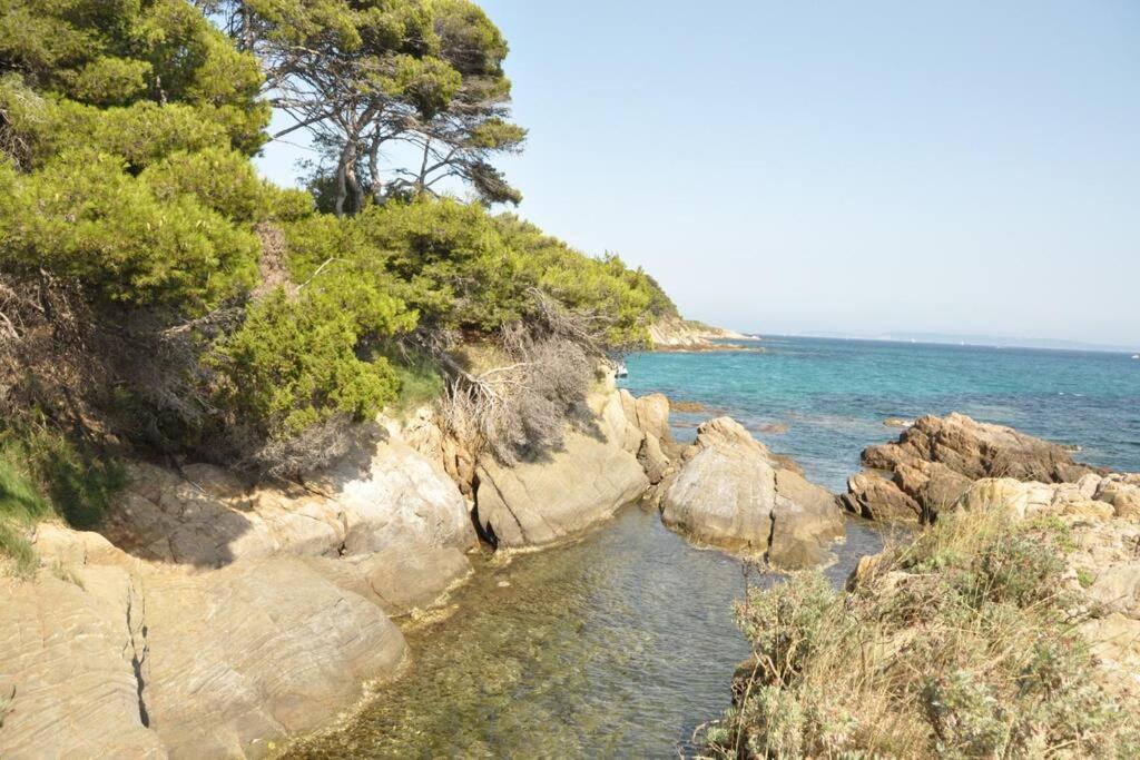 Villa Abeille : Douces Vacances D'Ete Avec Vue Mer Кавалере-сюр-Мер Екстериор снимка